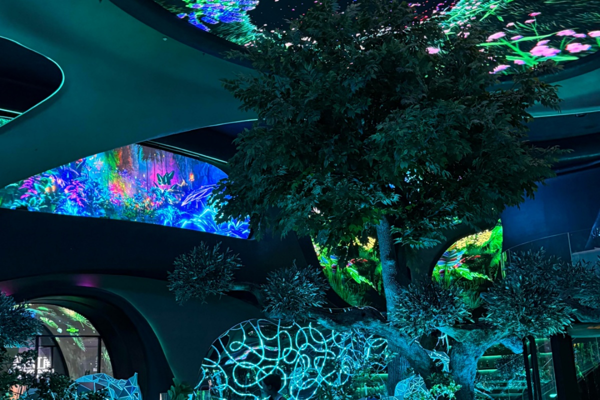 葫芦岛市建昌县夜场ktv旺季直招领队自己招人自己带_建昌县KTV招聘